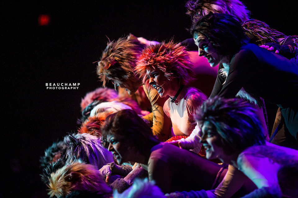 cats_005