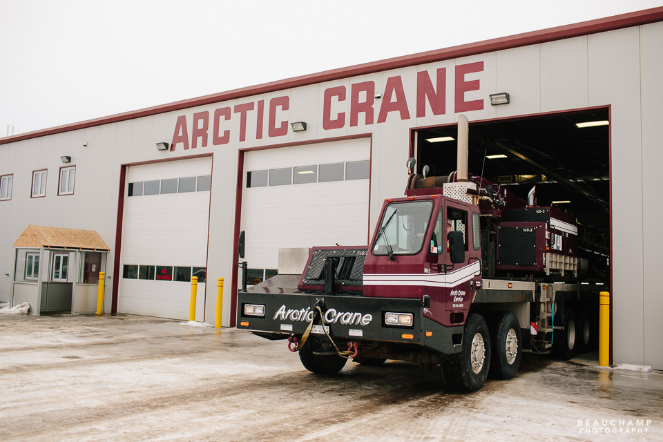Arctic Crane for web-0727