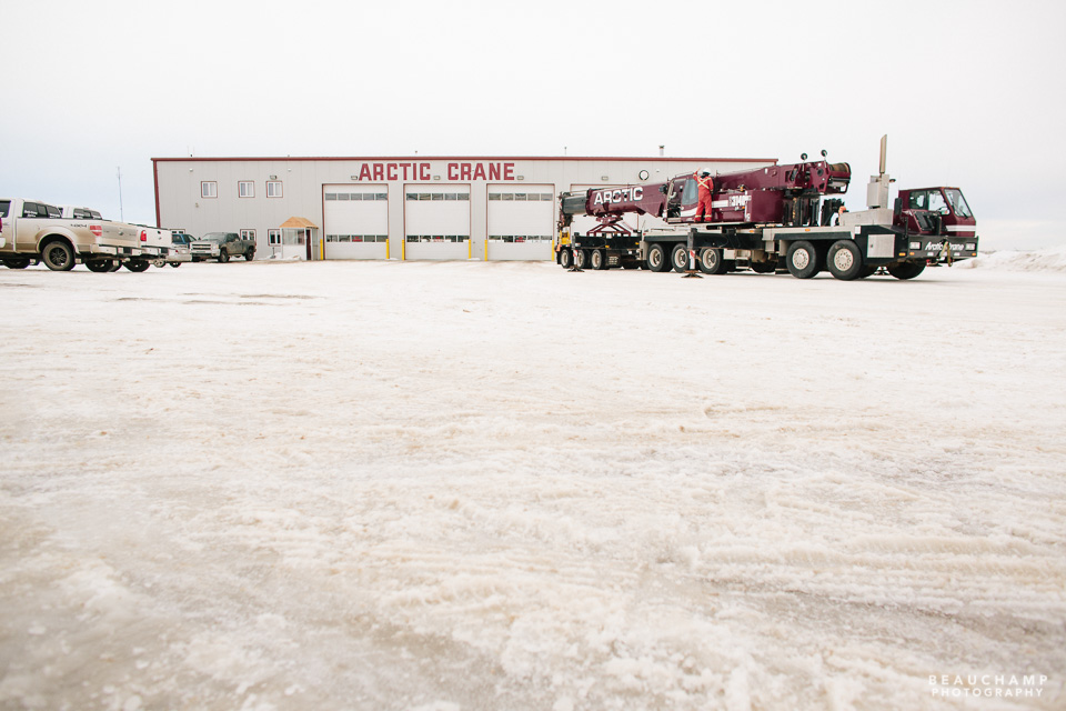 Arctic Crane for web-0783