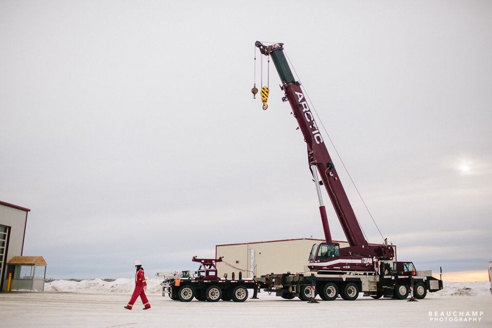 Arctic Crane for web-0825