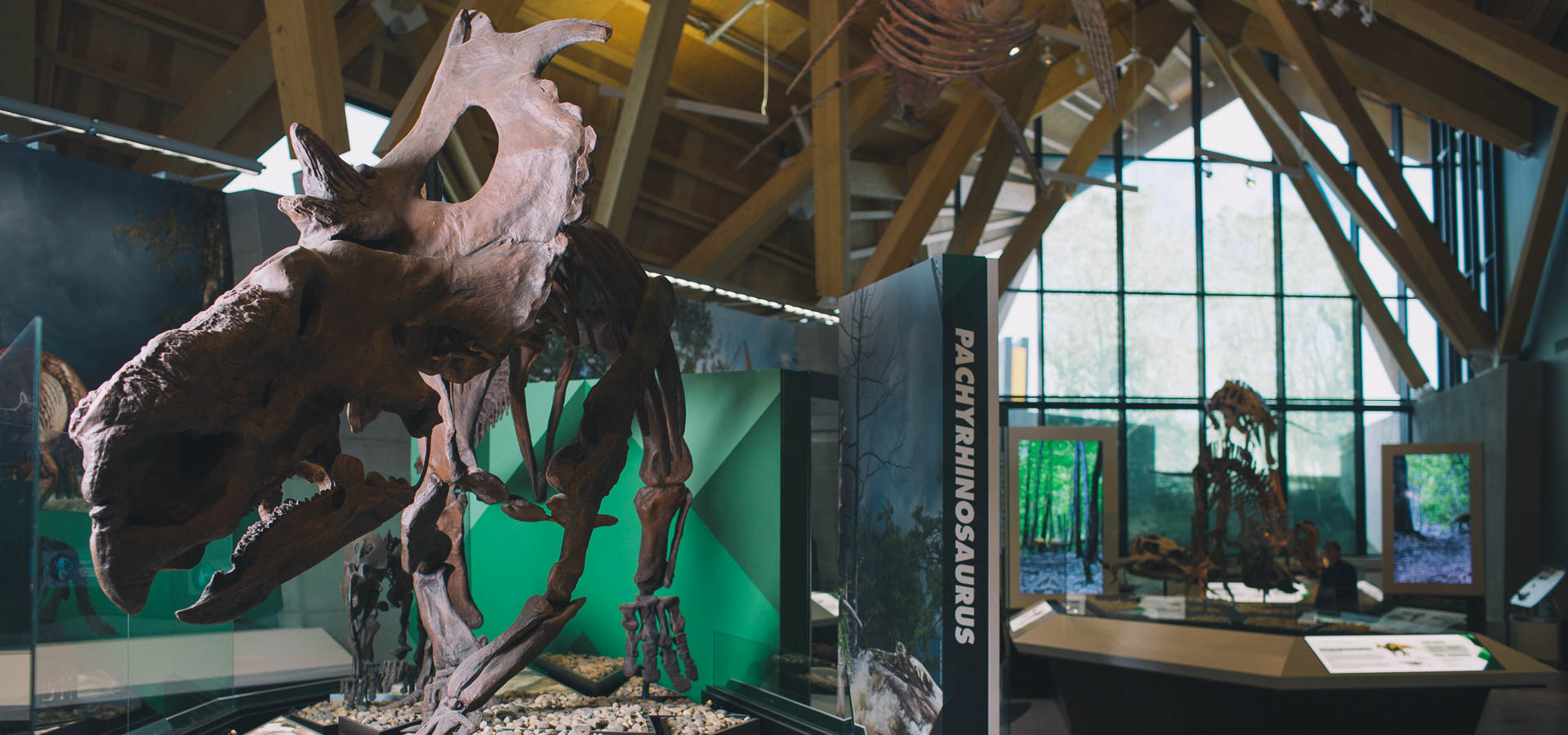 Architecture & Realty Image 4