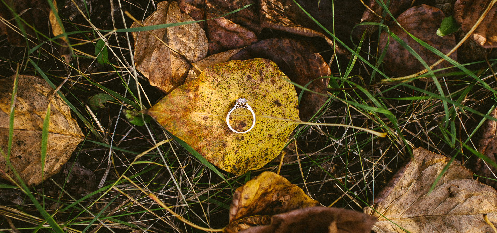 Engagement Sessions Image 2