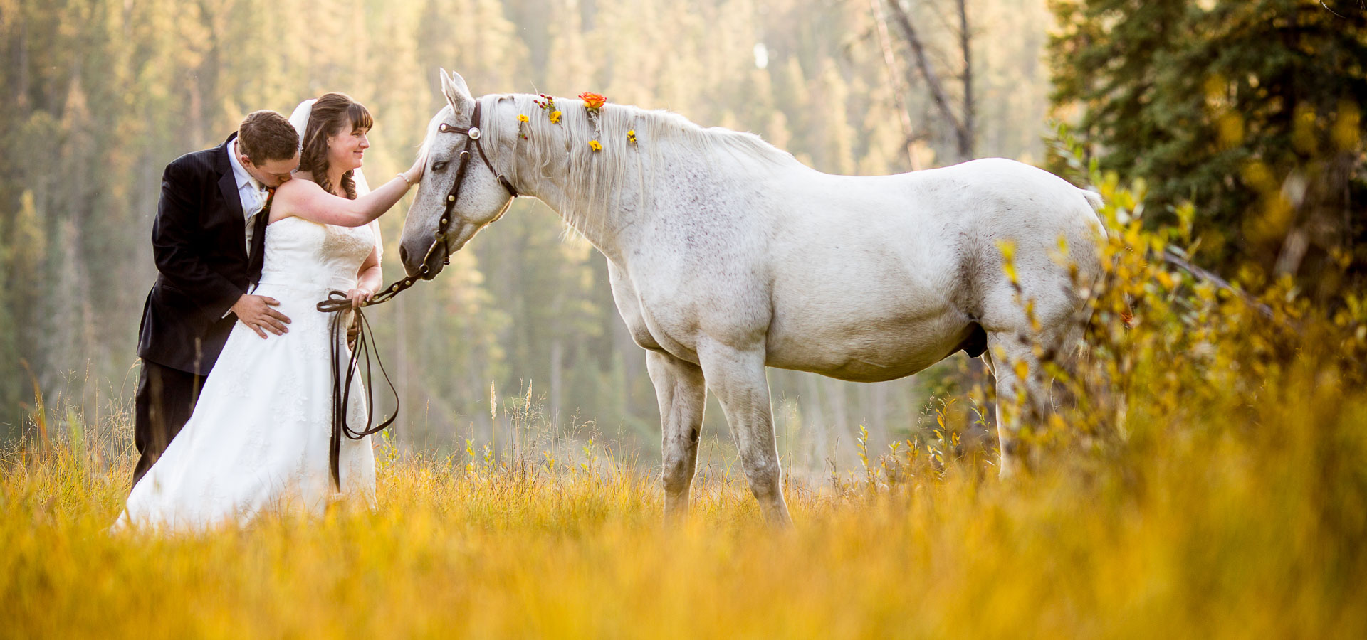 Wedding Portfolio Image 1